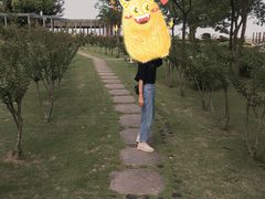 -大湾区中央湿地公园