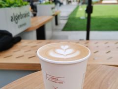 -代数学家algebraist coffee(亲橙里购物中心店)