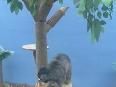 -青藏高原野生动物园