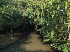 -同里国家湿地公园