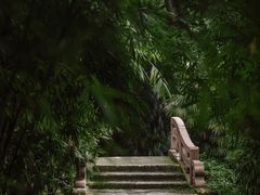 -望江楼公园