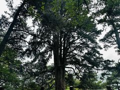 -终南山南五台景区