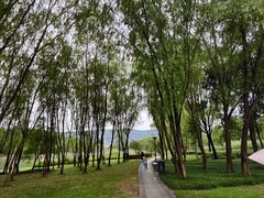 -长广溪湿地公园