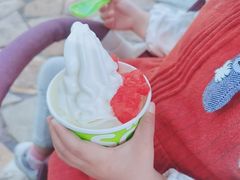 冻酸奶-Salud撒露欧洲冻酸奶(蓝色港湾店)