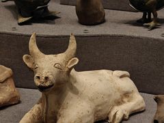 -广西壮族自治区博物馆