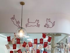 -喵园·猫主题咖啡厅·撸猫·猫咖(国贸店)