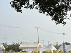 -莲花岛景区