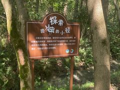 -同里国家湿地公园