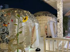 -天空花园餐吧·生日·团建(南山店)