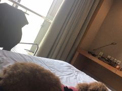 -中油泰富国际酒店-中餐厅