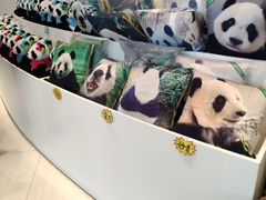 -大连森林动物园熊猫馆纪念品商店