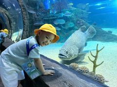 -沈阳海洋探索中心