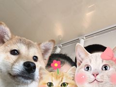 -汪说·狗咖(旺城大厦店)