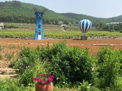 -金石滩蓝莓谷庄园