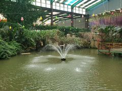 -第五季龙水凤港生态露营农场