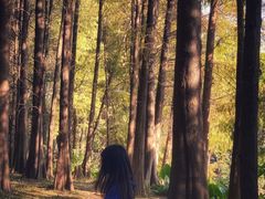 -华南国家植物园-售票处