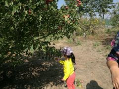 -万源龙顺度假庄园生态观光园