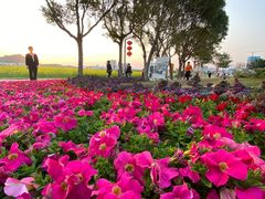 -光明小镇欢乐田园