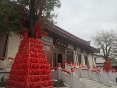 -中华郡文化旅游景区