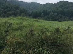-官滩沟风景区