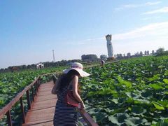 -白洋淀景区