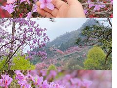 -岳西天峡风景区