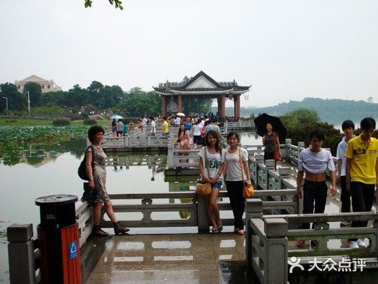 松山湖南湖湾露营营地图片
