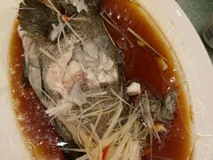 -济南喜来登酒店