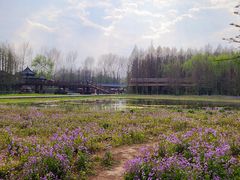 -溱湖国家湿地公园