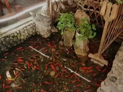 -三道苗苗鱼·美蛙黄辣丁(八里店)