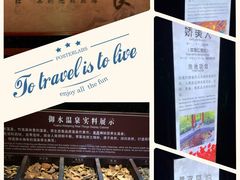 -天目湖御水温泉·度假酒店