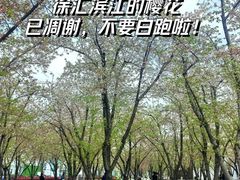 -龙美术馆(西岸馆)