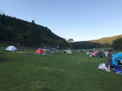 -武陵山森林公园