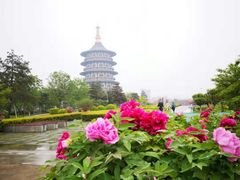 -隋唐洛阳城明堂天堂景区