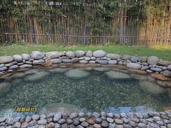 -三江森林温泉度假区