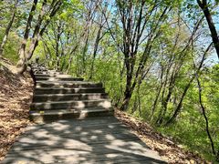 -帽儿山国家森林公园