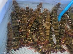 -盛华世家商业广场农贸水产综合批发市场