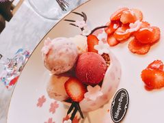 -哈根达斯(西安高新店)
