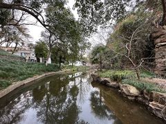 -水绘园