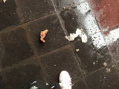 -龙翔小猪脚(龙头街店)