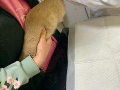 -派特宠物医院(圆融广场店)