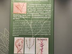-辽宁古生物博物馆
