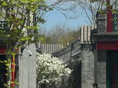 -月福京味斋·烤鸭店·北京菜(鼓楼总店)