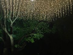 -上海虹桥祥源希尔顿酒店