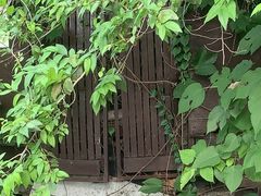 -斯多格书乡(北京大学畅春园店)