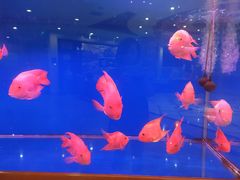 -无名居(西直门总店)