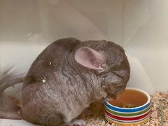 -龙猫仔乐园(惠福东路店)