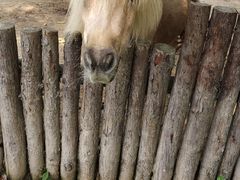 -泉州海丝野生动物世界