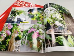 -南山图书馆(常兴路店)