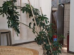 -风吟仟茶(河街店)